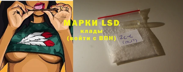 PSILOCYBIN Алзамай