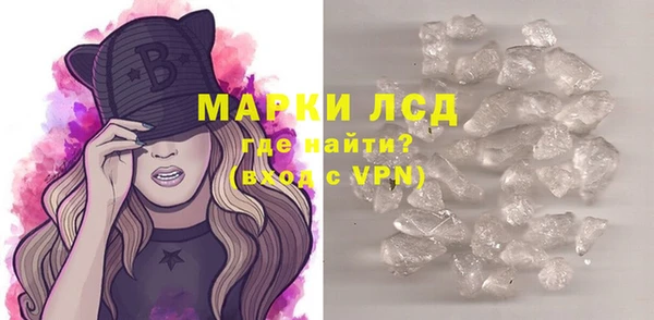 PSILOCYBIN Алзамай