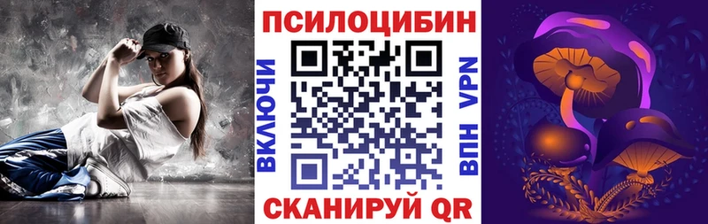 наркошоп  Бикин  Галлюциногенные грибы Psilocybe 